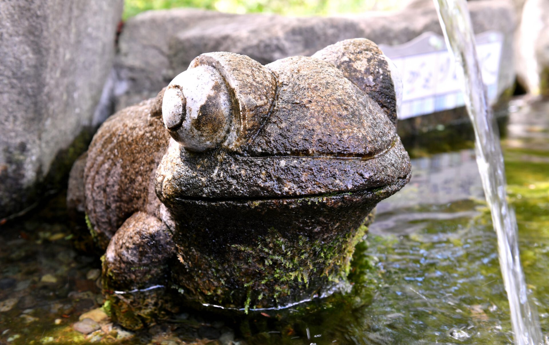 カエルの街！？ | 【公式】Linkまつもと