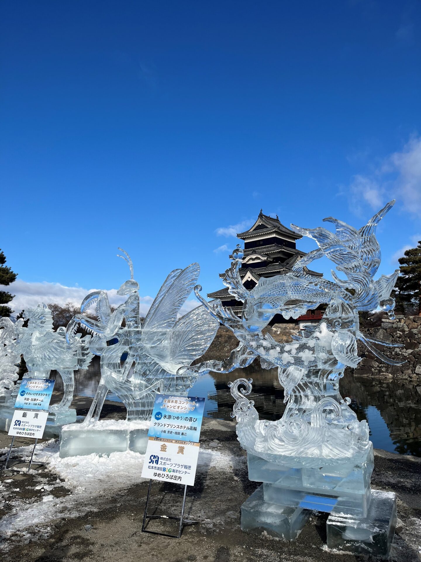 国宝松本城氷彫フェスティバル2026 | 【公式】Linkまつもと